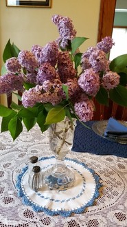 spring lilacs at bobbi's bungalow